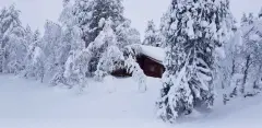 Talvimaisema