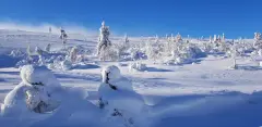 Kiilopää talvella