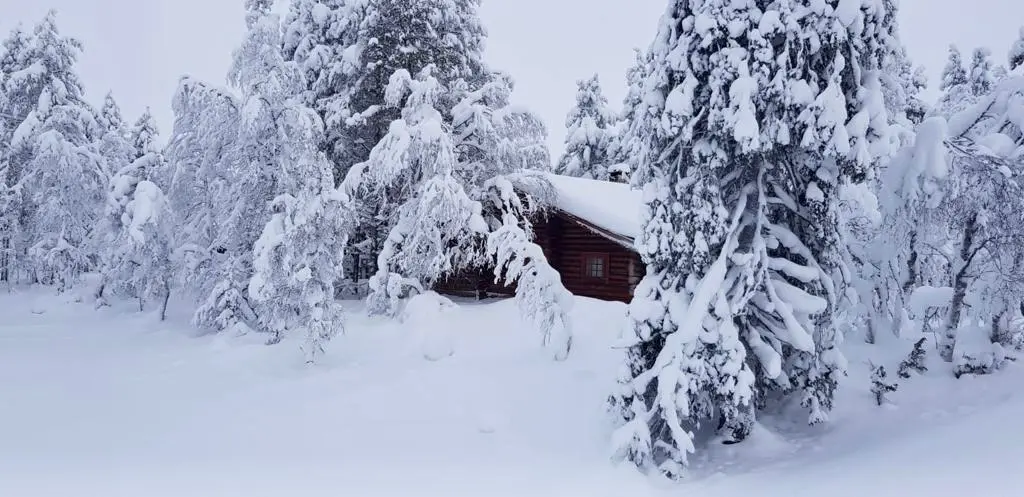 Talvimaisema